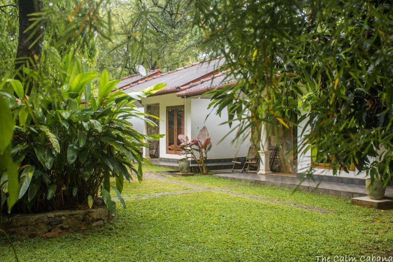 The Calm Cabana 丹不拉 外观 照片